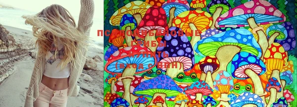 PSILOCYBIN Баксан